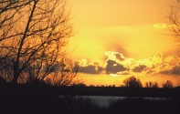 Sunset in the Oostvaardersplassen from Hans Kampf's site