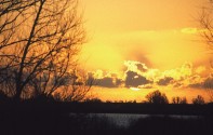 Sunset in the Oostvaardersplassen from Hans Kampf's site